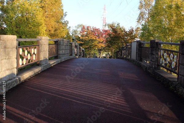 Obraz 公園の小さな橋と紅葉と電波塔