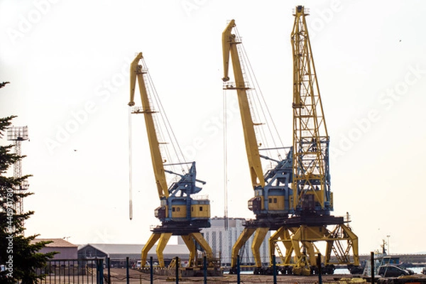 Obraz cranes in the seaport