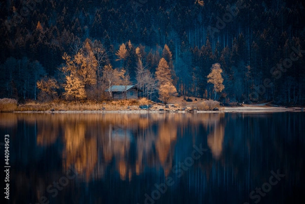 Fototapeta reflection of trees in the lake