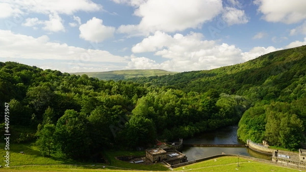 Fototapeta Lush green landscape 