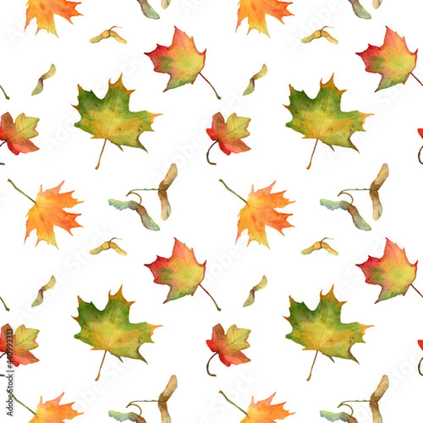 Fototapeta Watercolor seamless pattern of bright maple leaves and seeds, autumn theme, botanical elements isolated on white background. Disan fabric, textile, wrapping paper, background for scrapbooking.