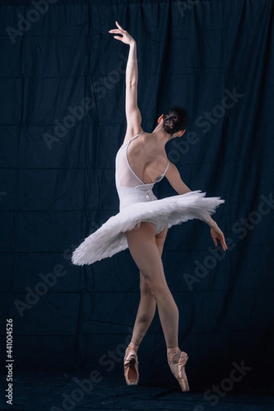 Obraz Young beautiful ballerina is posing in studio