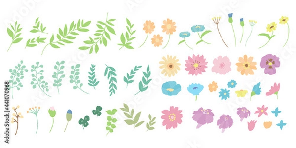 Obraz 手描きの花と草木北欧風カラー　バラバラパーツのセット　Set of floral elements for graphic and web design. Vector illustrations for beauty,   hand drawn elements.