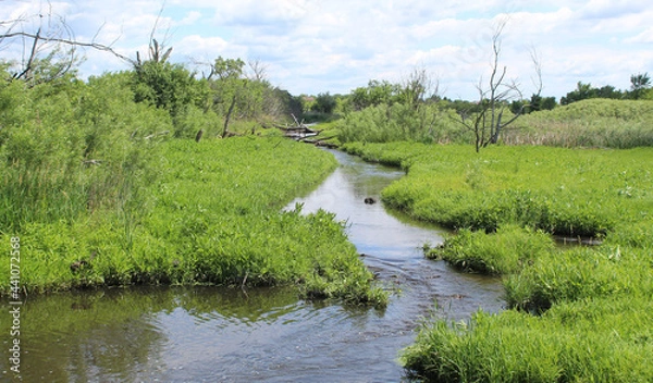 Fototapeta Brewster Creek at James "Pate" Philip State Park in Bartlett, Illinois