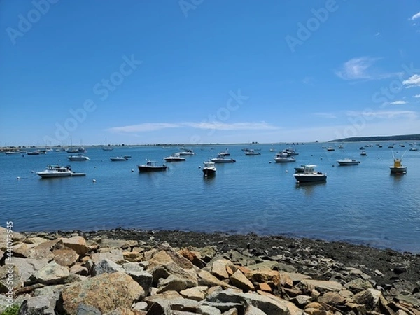 Obraz Sunny safe harbor