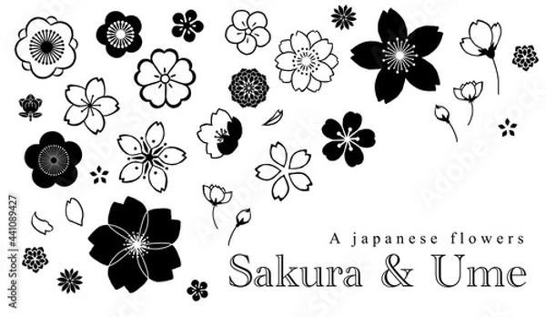 Obraz 日本の花　桜　梅