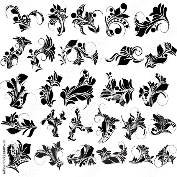 Obraz Floral Vector Designs