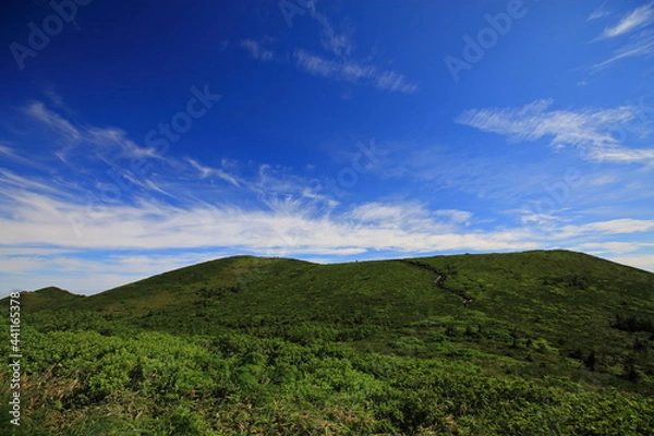 Fototapeta Mt.Hakkoda 　晴天下の八甲田山