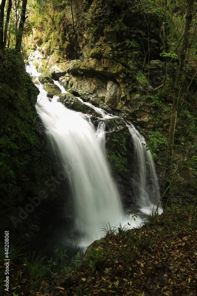 Fototapeta 徳島県海陽町　轟九十九滝　丸渕滝