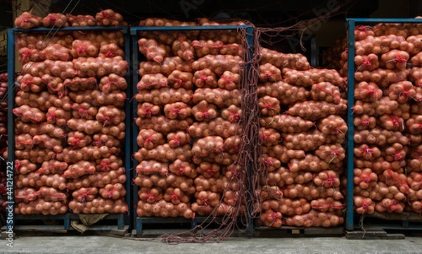 Obraz onion in stock