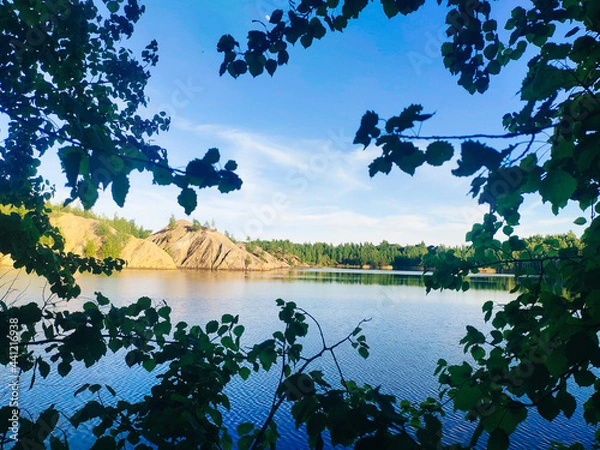 Obraz lake in the forest