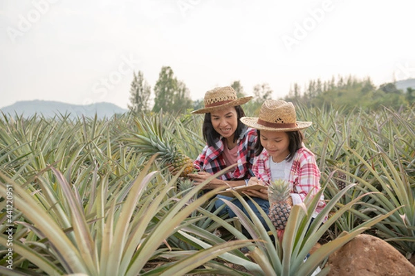Fototapeta Asian farmer have mother and daughter see growth of pineapple in farm and save the data to farmer checking list in her clipboard, Agricultural Industry Concept,family farmer working in pineapple farm