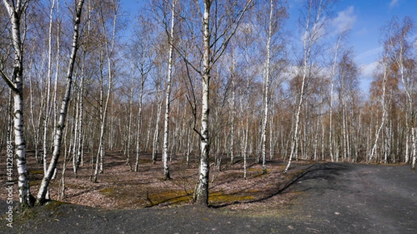 Fototapeta Mare à Goriaux Wallers