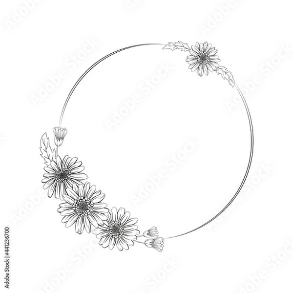 Fototapeta Daisy flower wreath, isolated line art illustration