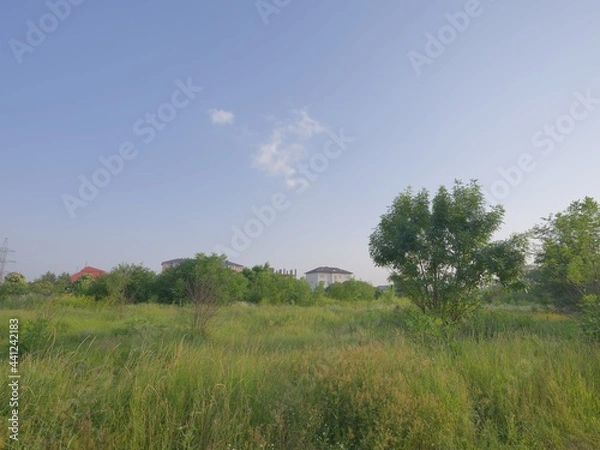 Obraz green landscape under blue sky with silver clouds