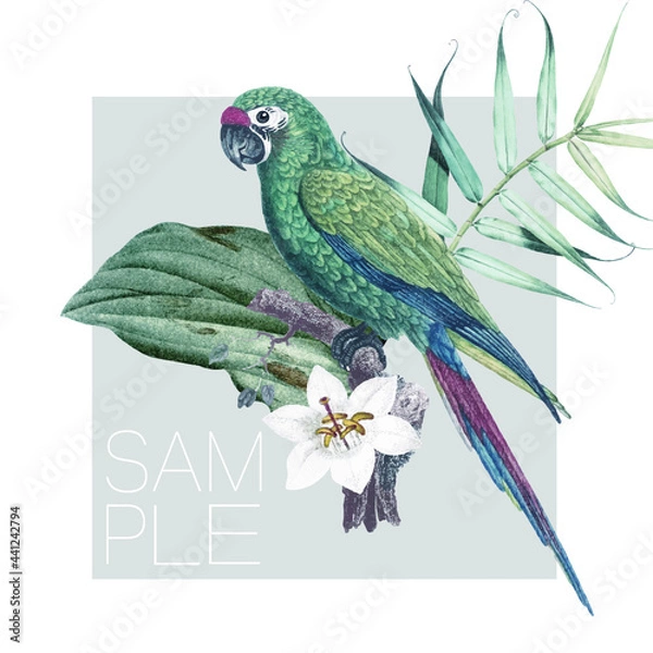 Obraz pássaro verde tropical
