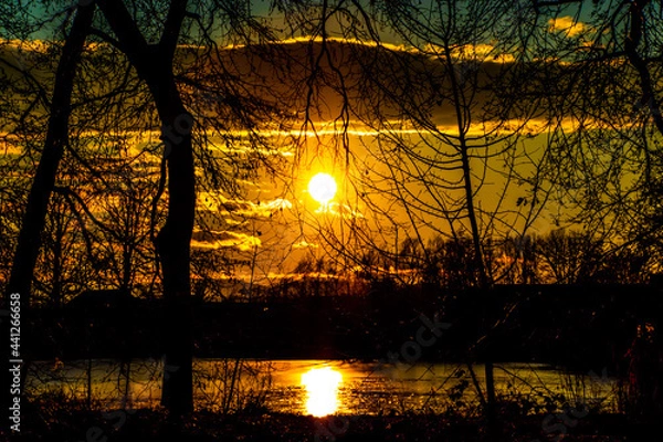 Obraz sunset in the forest