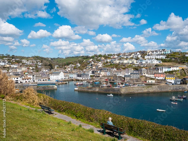 Fototapeta Overlooking a busy harbour with moored leisure and working boats at the picturesque fishing village and port of Mevagissey on the south coast of Cornwall, UK. Blue sky with cotton-wool clouds.