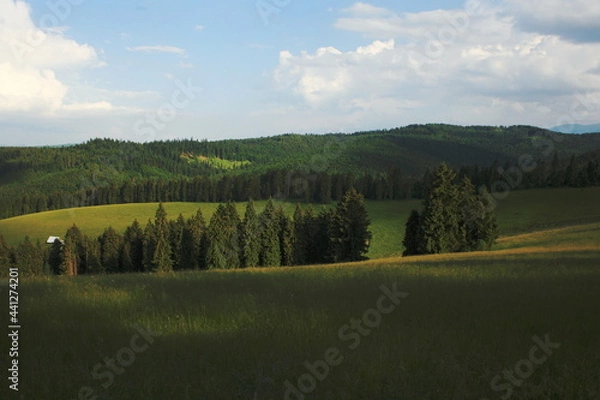 Obraz Forested mountainf in Pieniny (Poland)
