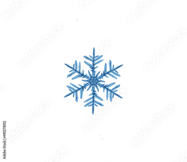 Obraz snowflake illustration