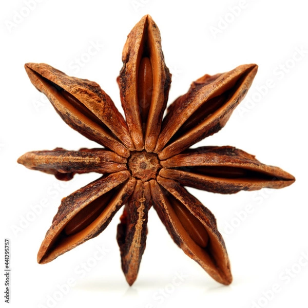 Obraz star anise isolated on white background