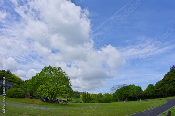 Obraz 広い緑の公園の一本の木の下で休む遠足