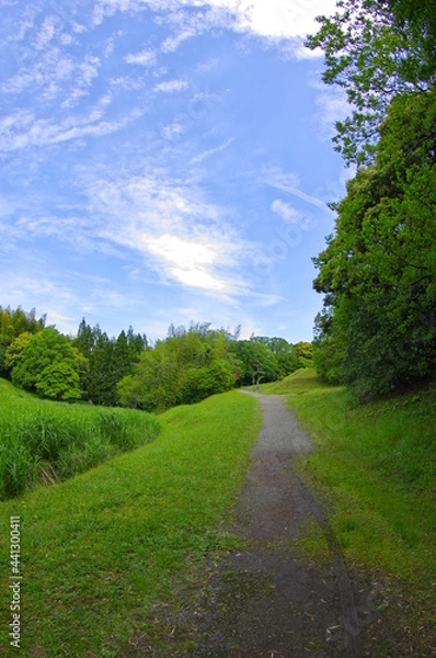 Obraz 緑と青　明るい山道