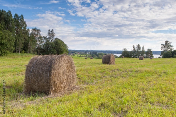 Obraz Haystacks on a field