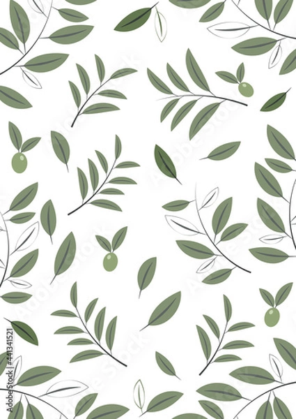 Fototapeta オリーブの壁紙　背景　バックグラウンド素材