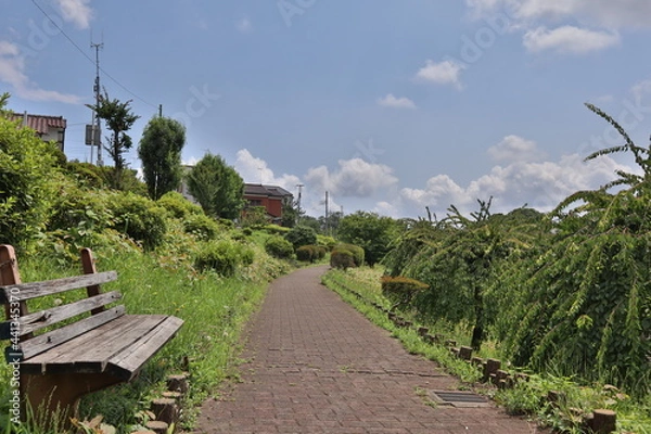 Obraz bench in the park
