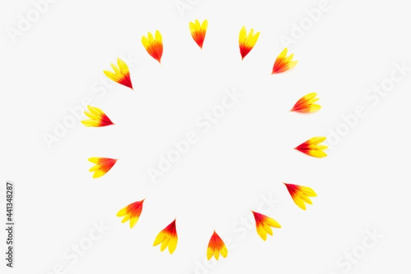 Fototapeta abstract colorful circle, colored petals on a white background, yellow petals on a white background, a circle of petals
