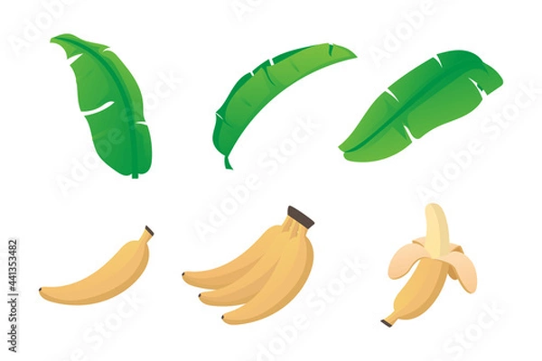Obraz banana cartoon with leaf