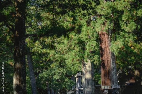 Obraz 伊勢外宮 境内風景