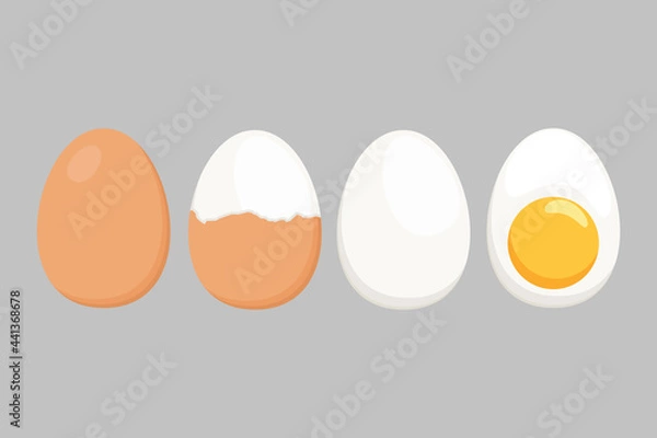 Obraz Egg vector isolated on a white background. illustration in flat style
