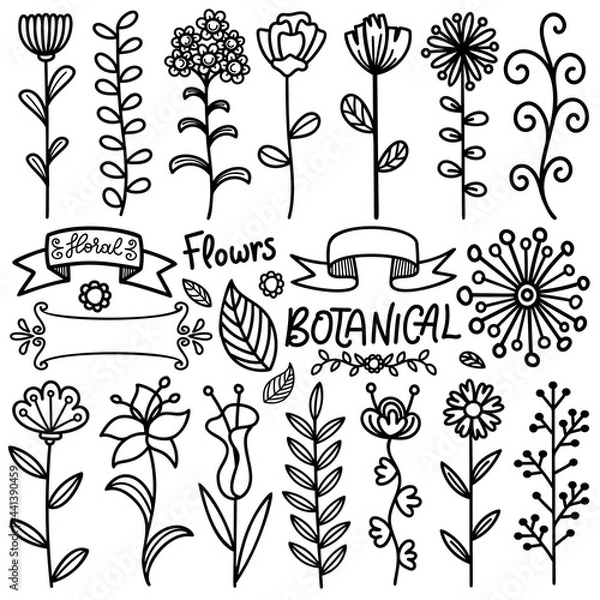 Fototapeta Hand drawn flower and leaf elements doodle. Branches, petals, flowering plants. Ribbons and frame. Isolated on white background. Vector print illustration
