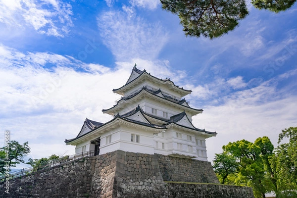 Fototapeta 神奈川県小田原市　小田原城(天守閣)
