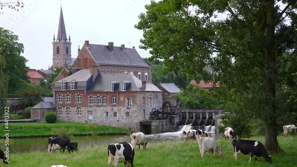 Fototapeta maroilles