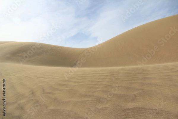 Fototapeta The large yellow sand dune of the Singing Dune in Altyn-Emel, the wind blows the sand, on the sand there are waves from the wind, the sky with gentle clouds, summer