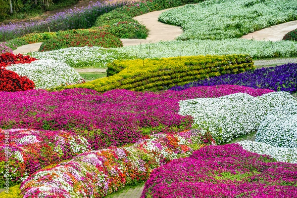 Fototapeta A brick stone pathway in vivid multi color blossom various flowers garden. Beautiful blooming flowers fields background in spring season.