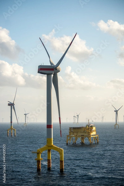 Fototapeta Offshore wind farm turbines at dusk in the middle of the sea