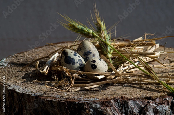 Obraz decorated eggs of quail with a nurse of wheat and wood to protect them