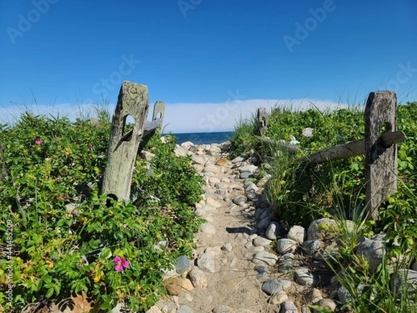 Obraz Beach flower path