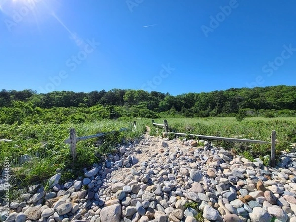 Obraz Into the woods