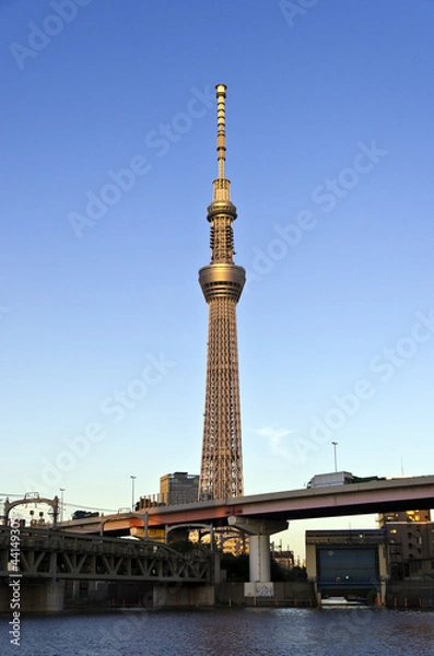 Fototapeta 東京スカイツリーと隅田川の夕景