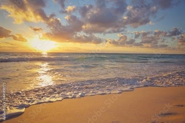 Obraz sunrise on the beach