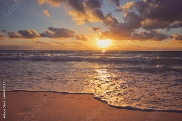 Obraz sunset on the beach