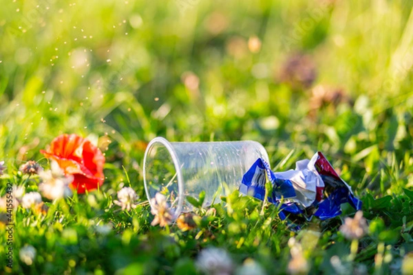 Obraz Dead flower next to a plastic glass and rubbish on a background of grass. Ecological problem.