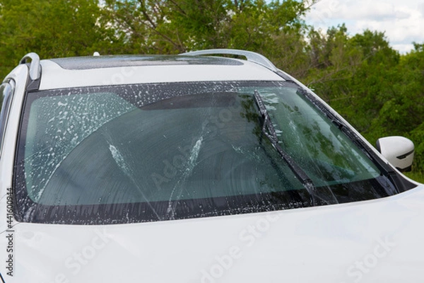 Obraz Cleaning the car windshield