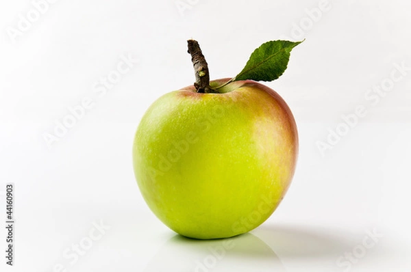 Obraz Jabłko