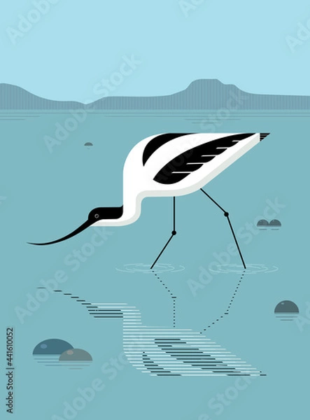 Obraz Avocet